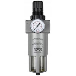 GAV Filter & Reducer In Line 1' Regulator